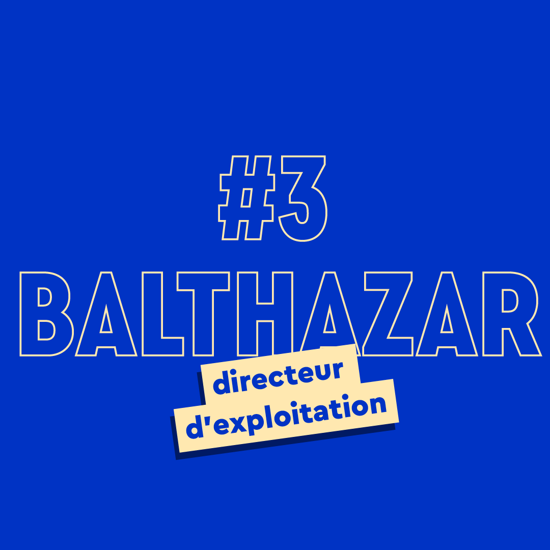 Balthazar, Créateur de bonheur en entreprise